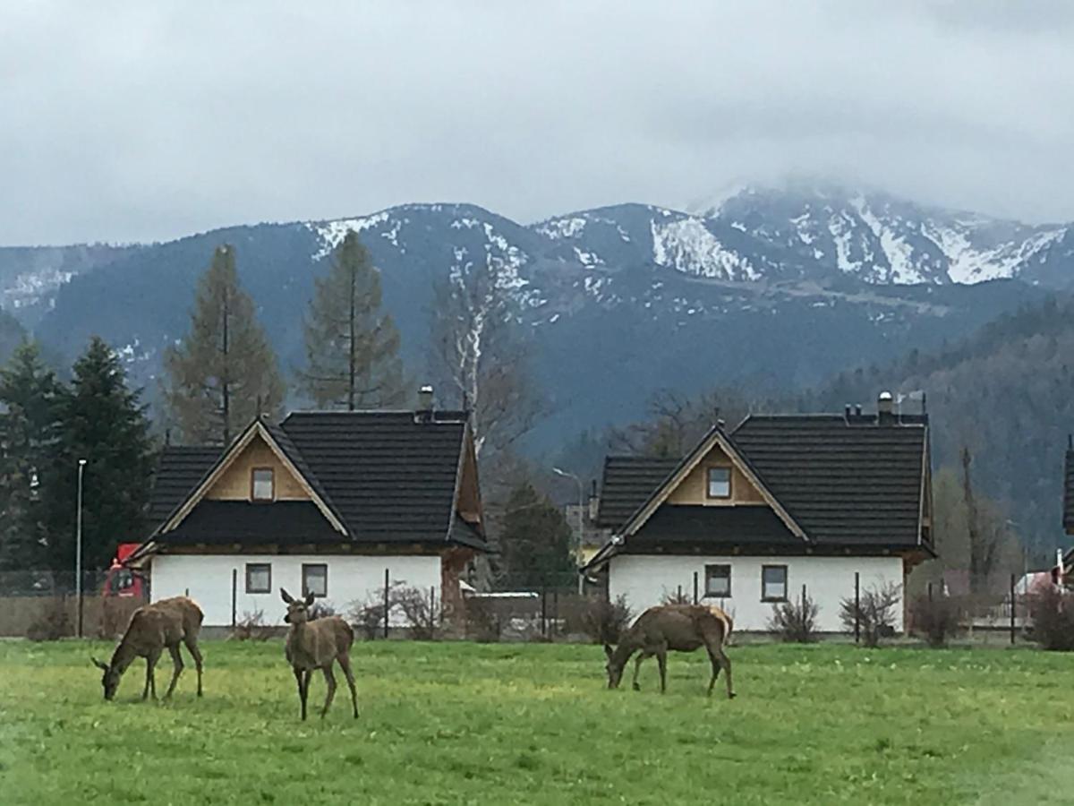 Camping Zakopane Willa Skoczek Oferta Nie Dotyczy Noclegu W Pokoju ,W Namiocie Reczniki Woda Mineralna , Koldra Poduszki Lub Spiwory Extérieur photo