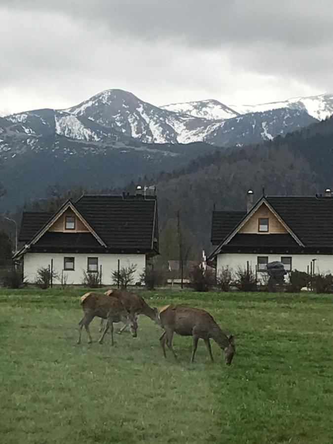 Camping Zakopane Willa Skoczek Oferta Nie Dotyczy Noclegu W Pokoju ,W Namiocie Reczniki Woda Mineralna , Koldra Poduszki Lub Spiwory Extérieur photo